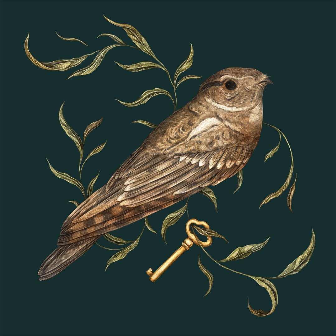 Jessica Roux: Whippoorwill Print