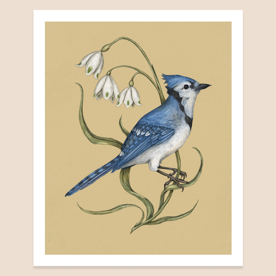 Jessica Roux: Bluejay and Snowflake