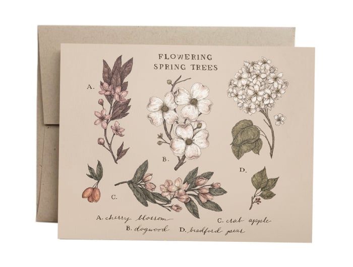 Jessica Roux Greeting Card: Flowering Spring Trees