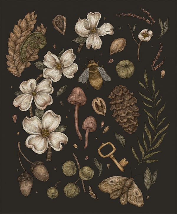 Jessica Roux: Nature Walks