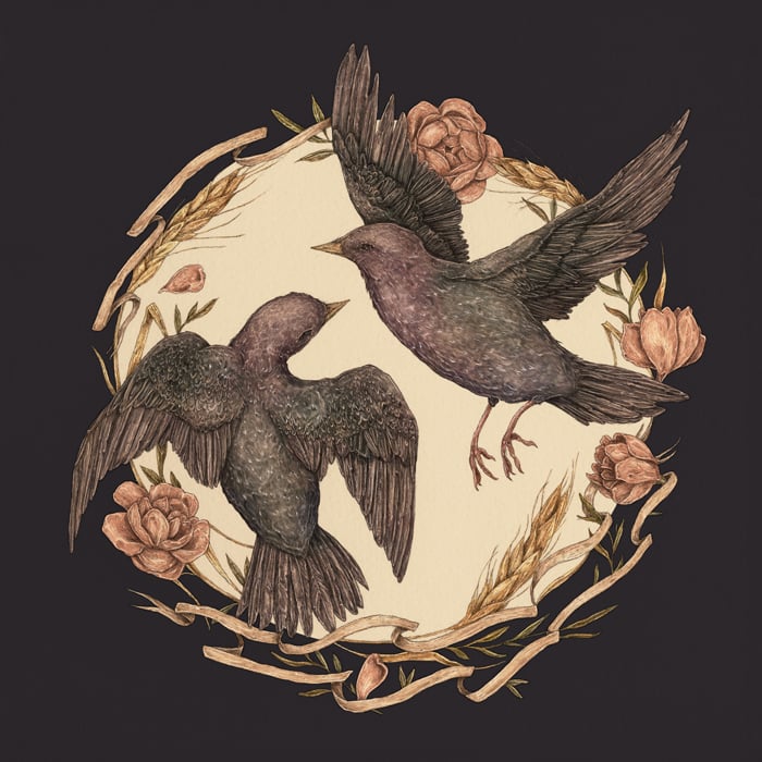 Jessica Roux: Starlings