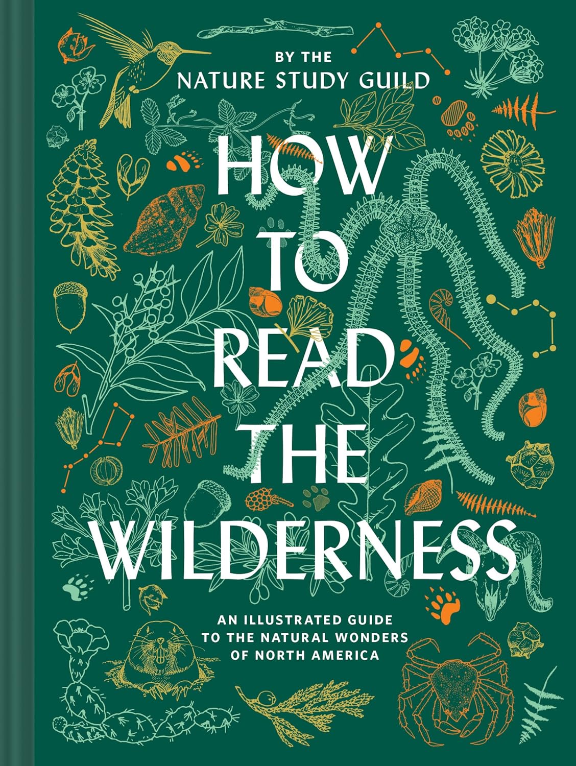 How to Read the Wilderness: An Illustrated Guide to the Natural Wonders of North America