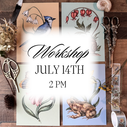 Drawing and Watercolor Workshop July 14th with Jessica Roux