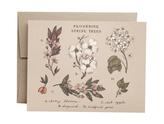 Jessica Roux Greeting Card: Flowering Spring Trees