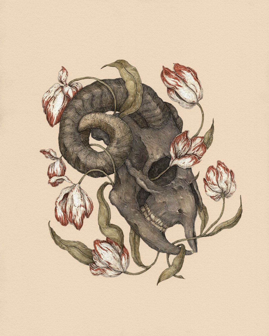 Jessica Roux: Breaking Rectifying