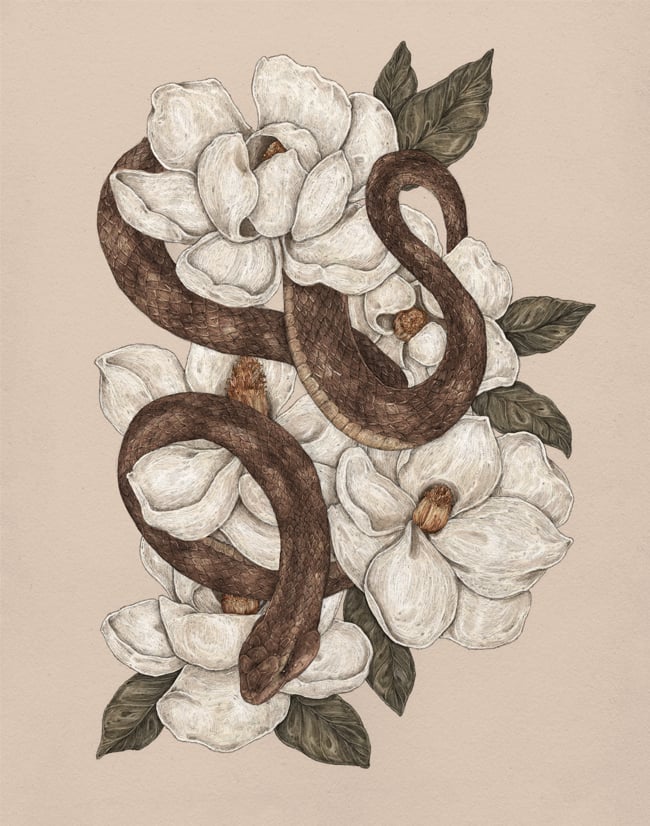 Jessica Roux: Snake and Magnolias