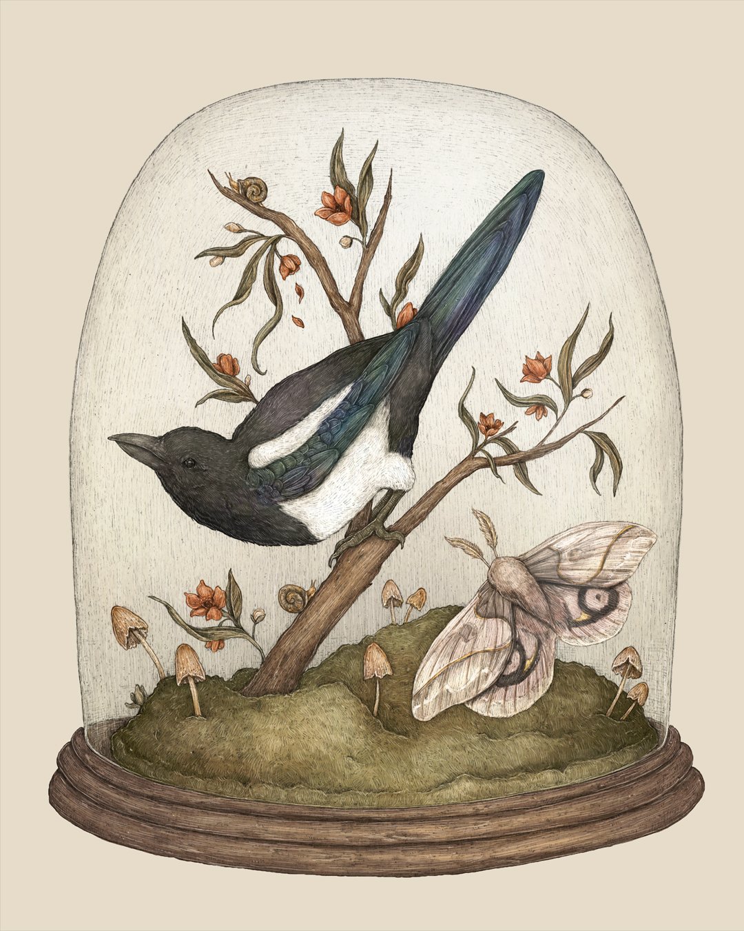 Jessica Roux: One for Sorrows